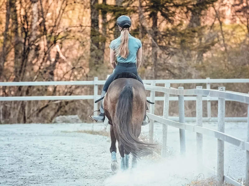 Bild für Kategorie: Reitplatz & Paddocks