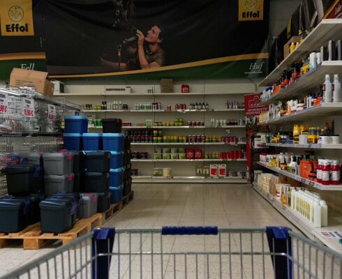 Erstausstattung fürs Pferd - Was brauche ich für ein Pferd?