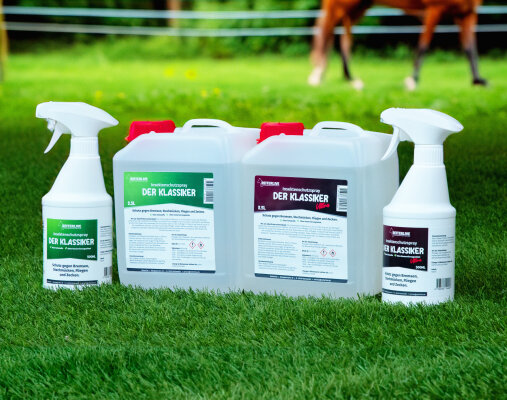 Reiterlive "Der Klassiker" unser eigenes Fliegenspray - 