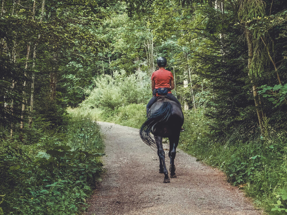 Sicherheit beim Ausreiten: Wichtige Hinweise zum Start der Saison - 