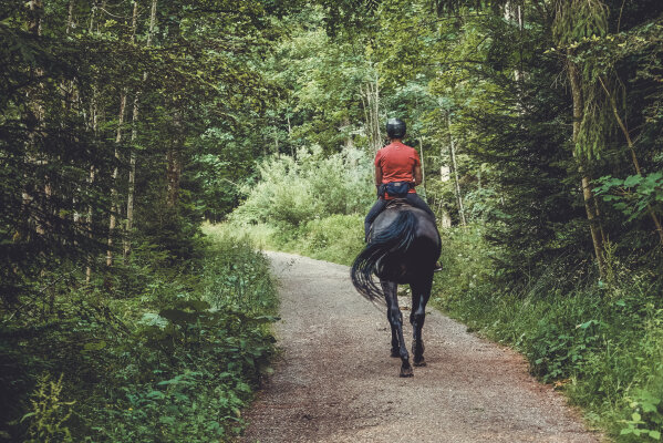 Sicherheit beim Ausreiten: Wichtige Hinweise zum Start der Saison - 