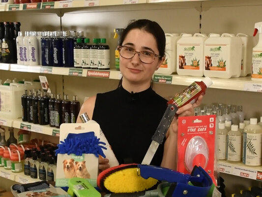 Auf der Suche nach einem Shampoo für dein Pferd? - Pferdeshampoo