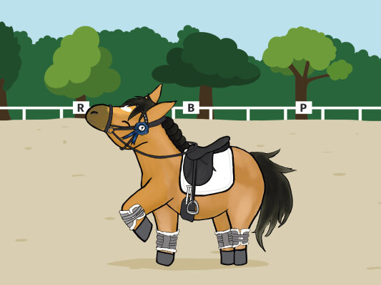 Grand Prix auf Trense - Grand Prix auf Trense