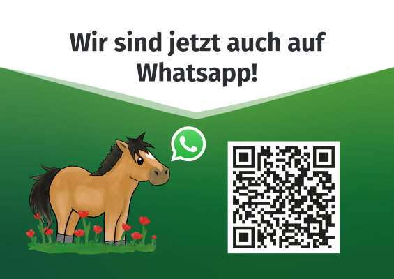 Reiterlive auf Whatsapp - Reiterlive auf Whatsapp