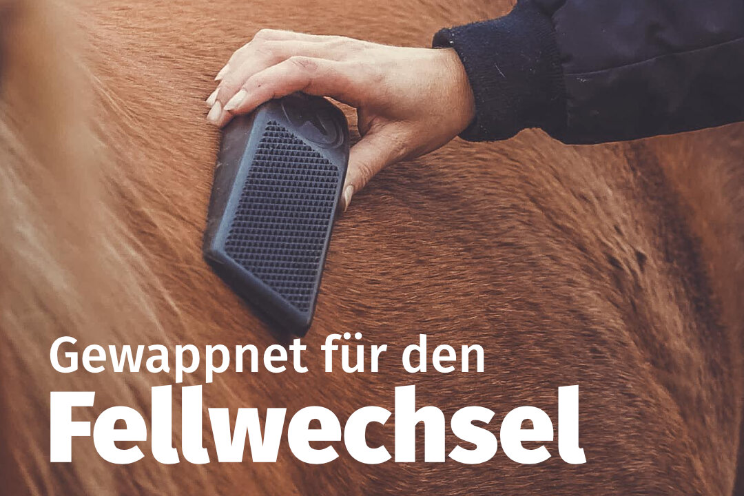 Ein Foto von einer Hand, die eine schwarze Enthaarungsbürste auf einem braunen Pferd verwendet. Darauf steht in weißer Schrift: "Fellwechsel"