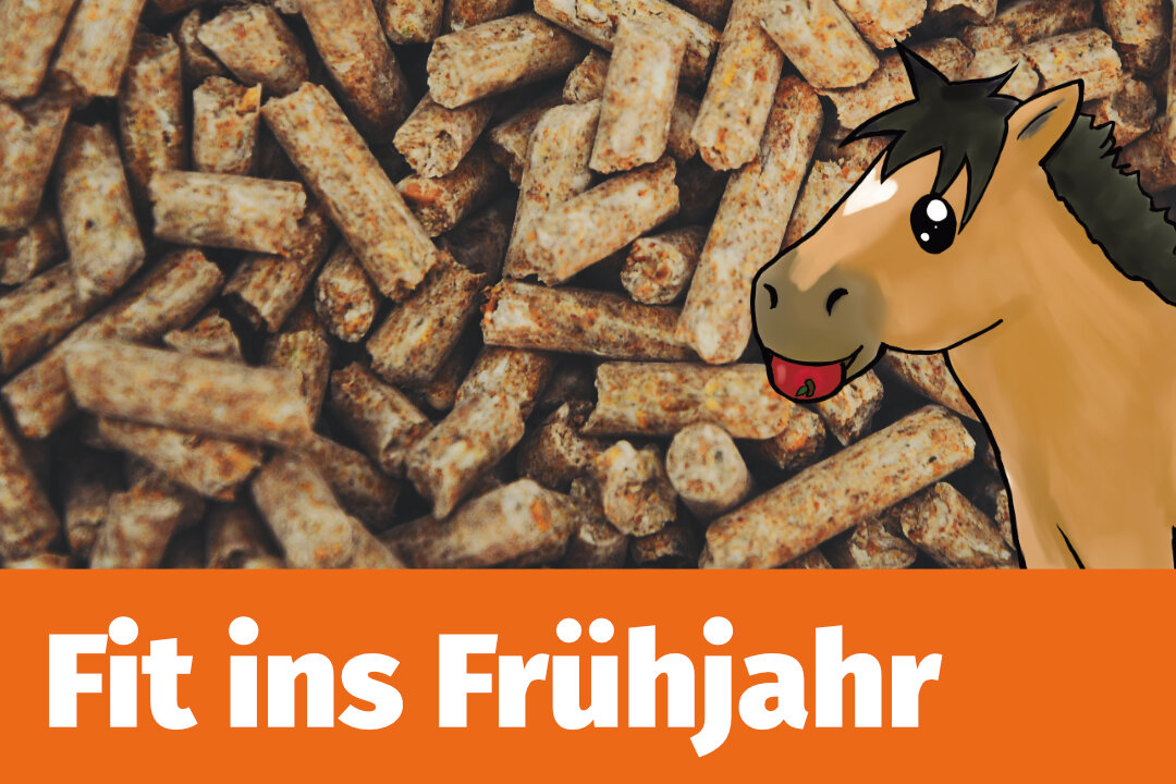 Eine Nahaufnahme von Zusatzfutterpellets. Darüber ein orangener Kasten auf dem in weißer Schrift steht:" Fit ins Frühjahr". Hinter dem Kasten schaut das Comicpferdchen Riley mit einem Apfel im Maul hervor.
