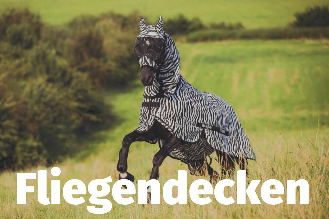 Ein Pferd mit einer Zebra Fliegendecke im Galopp auf einer Wiese und unten steht Fliegendecken.