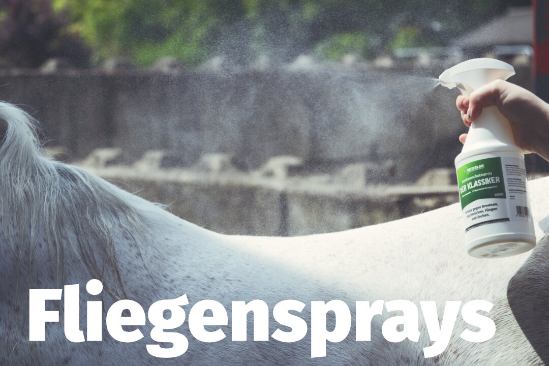 Eine Nahaufnahme beim Einsprühen eines Schimmels mit dem Fliegenspray "Der Klassiker". Unten steht in weiß "Fliegensprays".