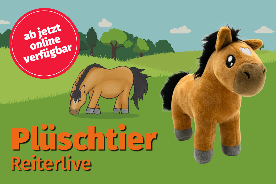 Riley im Hintergrund grasend, links oben ein roter kreis mit: Ab jetzt online verfügbar. Darunter Groß Plüschtier und Reiterlive. Rechts sieht man ein Foto dem Riley als Plüschtier.