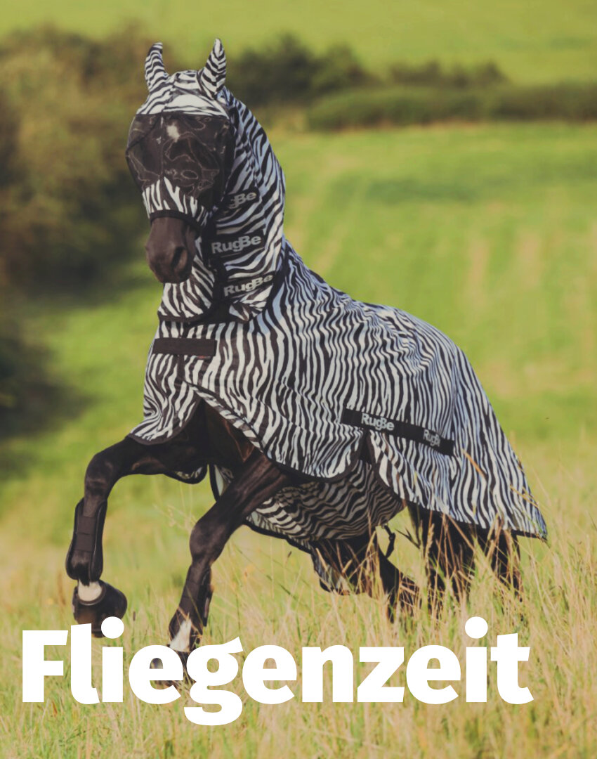 Ein Pferd mit einer Zebra Fliegendecke im Galopp auf einer Wiese und unten steht Fliegenzeit.