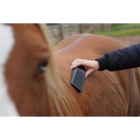 Grooming Bürste Medium schwarz