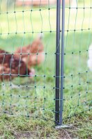 Unterstützungspfahl für Weidenetze 145cm