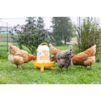 Kunststoff-Tränke 5 l, mit Füßen...