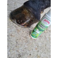 Zedan Natürliches Hufpflege-Öl