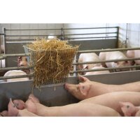 Futtersparraufe mit geringer Stababstand