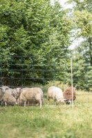 AKO TitanNet 145 Doppelspitze 50m x 145cm