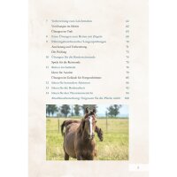Buch Bettina Schmid Kreative Kinderreitstunde