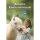 Buch Bettina Schmid Kreative Kinderreitstunde