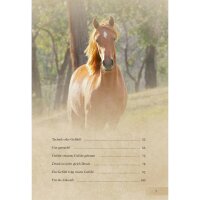 Buch Susanne Kreuer Horsemanship für Kids