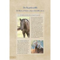 Buch Susanne Kreuer Horsemanship für Kids