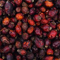 Reiterlive Hagebutte