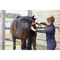 Magic Brush Pferde-Salzdusche Starterset