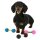 Hundespielzeug TPR Hantel