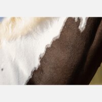 Excellent Hi Gloss Glitter Spray 250ml