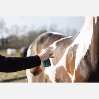 Excellent Hi Gloss Glitter Spray 250ml