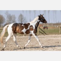 Excellent Hi Gloss Glitter Spray 250ml