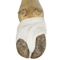 Verbandvlies Absorba, endlos, 10cm x 5m