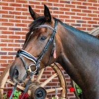 Reiterlive Trensenanhänger