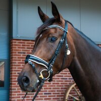 Reiterlive Trensenanhänger