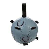 Pferdespielball -Fun-