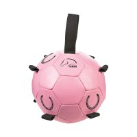 Pferdespielball -Fun-