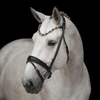 Kieffer Trensenzaum Elli