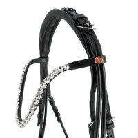 Kieffer Kandarenzaum Faye