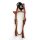 "EE Tack" Kopfstück - "V" Stirnband - Harness Leder - Clear Stones