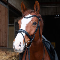 Reiterlive Premium Trense "Eschweiler"