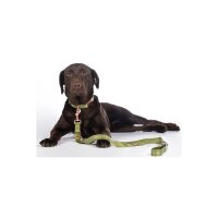 Hundetrainingsleine -Qooper- Nylon