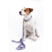 Hundetrainingsleine -Qooper- Nylon