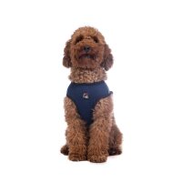 Hundegeschirr -Buddy Soft-