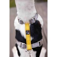 Hundegeschirr -Anam Cara Basic- Nylon