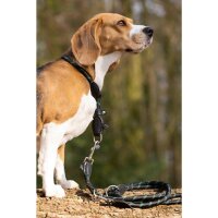 Hundehalsband -Anam Cara- Tau