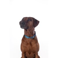 Hundehalsband -Anam Cara- Nylon