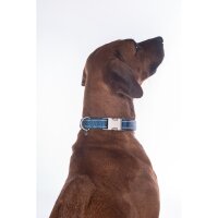 Hundehalsband -Anam Cara- Nylon