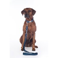 Hundetrainingsleine -Anam Cara- Nylon