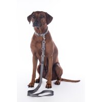 Hundetrainingsleine -Anam Cara- Nylon
