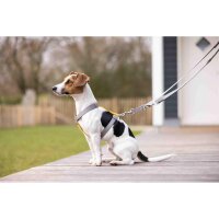 Hundetrainingsleine -Anam Cara- Nylon