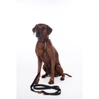Hundetrainingsleine -Anam Cara- Nylon